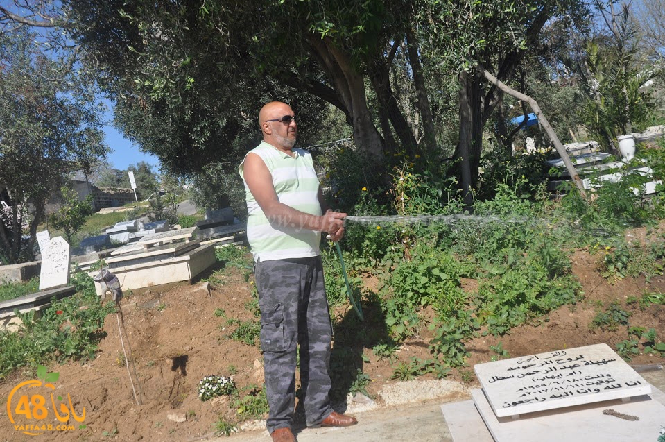 tasohamlalanjna (27).jpg